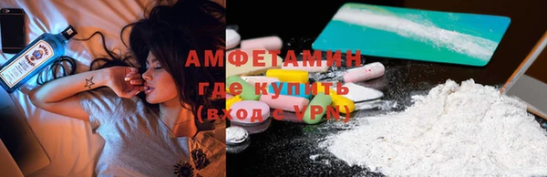 метадон Богданович