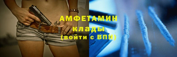 метадон Богданович