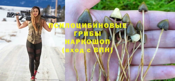 метадон Богданович