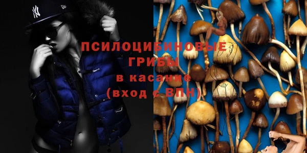 ALPHA-PVP Богородицк