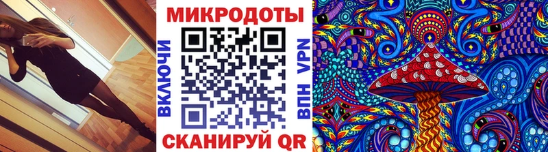 Галлюциногенные грибы Psilocybe  кракен ССЫЛКА  Красный Кут 
